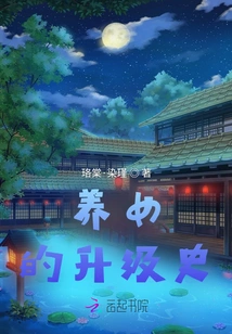 The Upgrade History of the Adopted Daughter