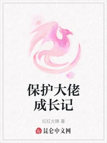 The Story of the Growth of a Protection Boss