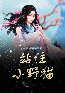 Little Wildcat, Stop