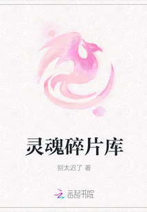 Soul Fragment Library