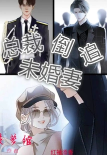 Ceo Pursues Fiancée