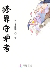 Cross-border Guardian