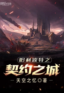 Harry Potter and the City of Contract