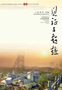 Witness and Transcendence