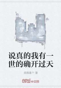 To Be Honest, I Did Have Enlightenment in My Life