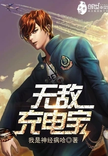 Invincible Power Bank