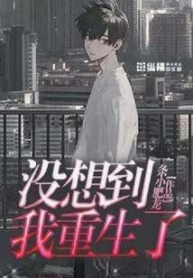 I Didn't Expect That I Would Be Reborn