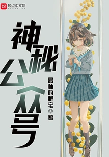 Mysterious Public Account