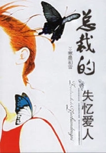 The Ceo's Amnesiac Lover