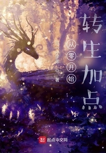 Reincarnation from Scratch Plus Points