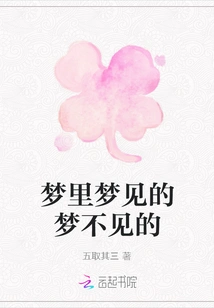 What is Seen in the Dream, What is Not Seen in the Dream