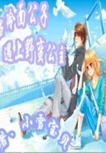 When the Cold-faced Boy Meets the Savage Princess