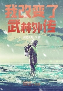 Did I Change Wulin Gaiden?