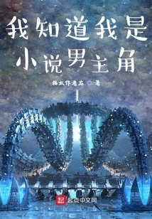 I Know I Am the Hero of the Novel