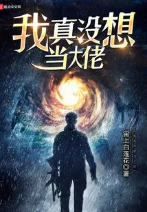 I Really Don't Want to Be a Boss