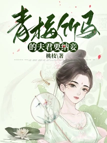 My Childhood Sweetheart's Husband Wants to Take a Concubine