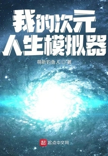 My Dimensional Life Simulator