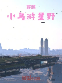 Time Travel: Birds Traveling in the Starry Wilderness