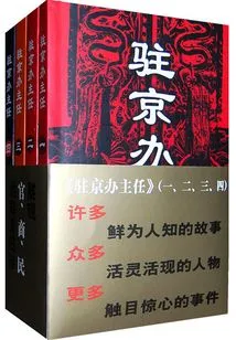 Director of the Beijing Office (complete Collection)