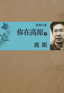 You Are in Plateau 4: Deer Eyes