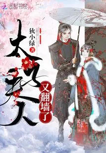 The Prince's Wife Climbed over the Wall Again