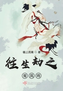 The Sound of the Luan and the Phoenix in the Calamity of the Afterlife