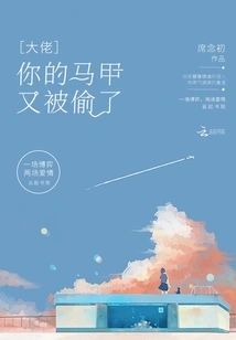 Boss, Your Vest Was Stolen Again