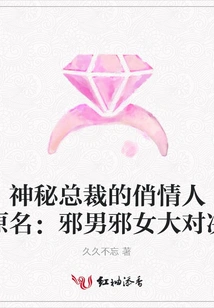 The Mysterious President's Lover (original Title: Showdown between Evil Man and Evil Woman)