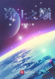 The Top of the Pure Land