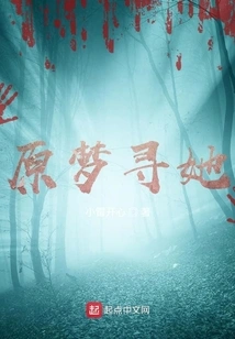 Original Dream to Find Her