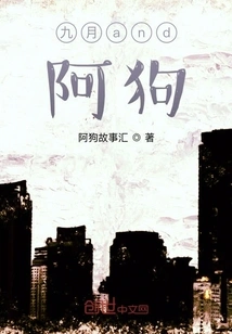 Dog Story Session: Comb