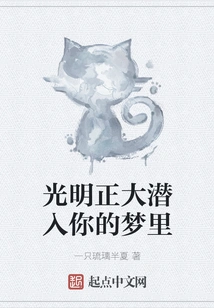 Sneak into Your Dreams Openly