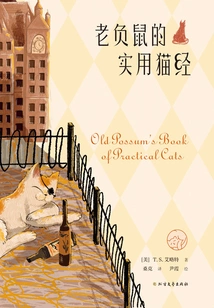 Old Possum's Practical Cat Guide