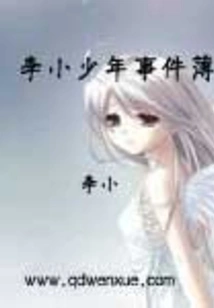 Li Xiaojun Incident Book