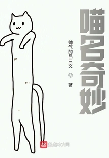 Meow's Name is Wonderful