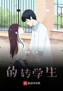 Irregular Transfer Student