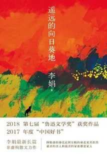 Distant Sunflower Field