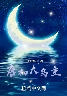 The Big Island Owner in the Early Tang Dynasty