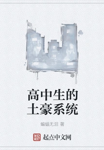 The Wealthy System for High School Students