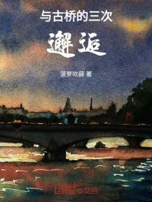 Encounter on the Bridge