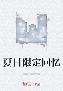 Summer Limited Memories