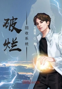 Junk Recycling System