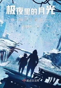 The Moonlight in the Polar Night is Reflected on the Snow