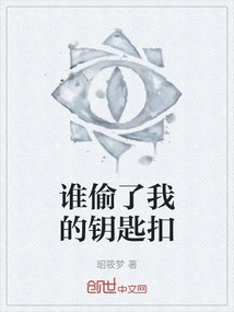 Who Stole My Keychain