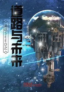 The Road and Future of Gundam Seed