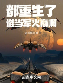 Who is Going to Be an Arms Dealer after Being Reborn?