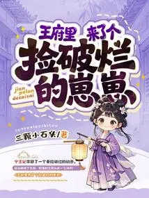 A Rag-picker Came to the Palace