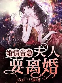 The Marriage is in Danger, My Wife Wants a Divorce