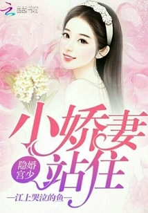 Hidden Marriage Palace Master: My Dear Wife, Stop!