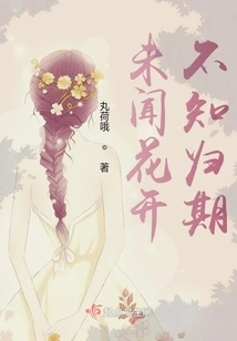 I Haven't Heard the Flowers Bloom and I Don't Know When They Will Return